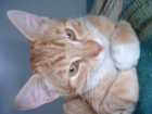 thumbs/08300007.png