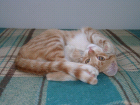 thumbs/08300014.png