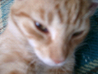 thumbs/08300023.png