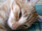 thumbs/08300024.png